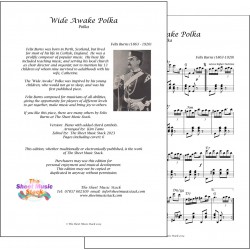 Wide Awake Polka - Felix Burns - Piano