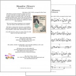 Meadow Flowers - Felix Burns - Lead sheet