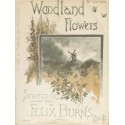 Woodland Flowers - Felix Burns - PIANO