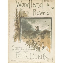 Woodland Flowers - Felix Burns - Lead Sheet